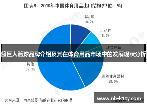 篮巨人篮球品牌介绍及其在体育用品市场中的发展现状分析