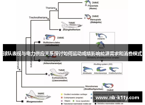 球队表现与电力供应关系探讨如何运动成绩影响能源需求和消费模式