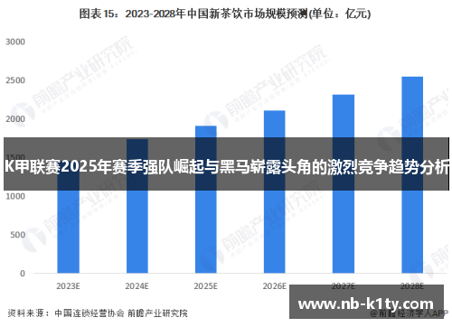 K甲联赛2025年赛季强队崛起与黑马崭露头角的激烈竞争趋势分析