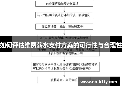 如何评估维贾薪水支付方案的可行性与合理性