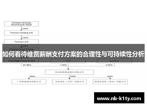如何看待维贾薪酬支付方案的合理性与可持续性分析
