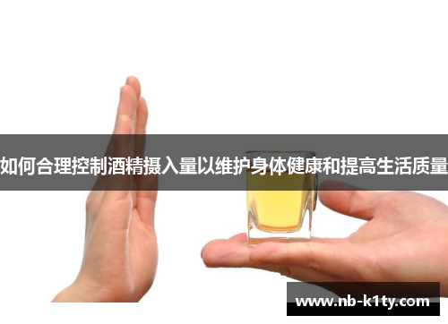 如何合理控制酒精摄入量以维护身体健康和提高生活质量