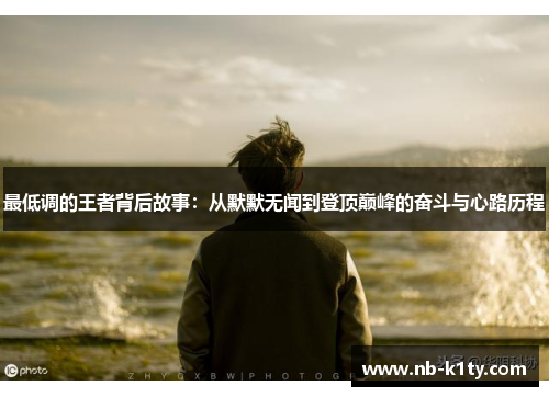 最低调的王者背后故事:从默默无闻到登顶巅峰的奋斗与心路历程