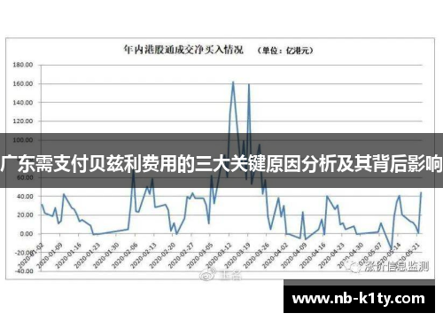 广东需支付贝兹利费用的三大关键原因分析及其背后影响