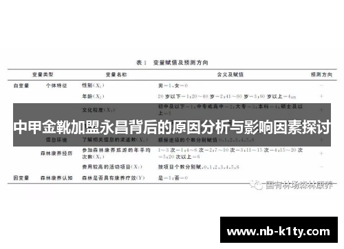 中甲金靴加盟永昌背后的原因分析与影响因素探讨