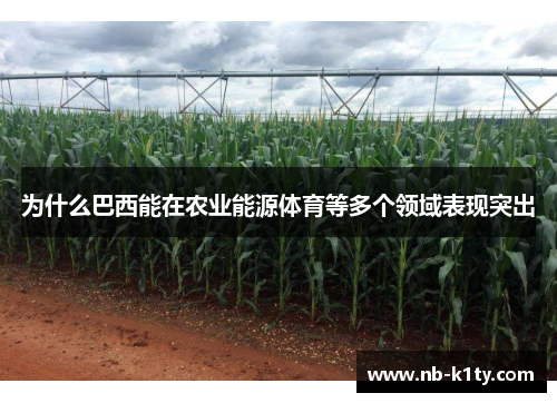 为什么巴西能在农业能源体育等多个领域表现突出